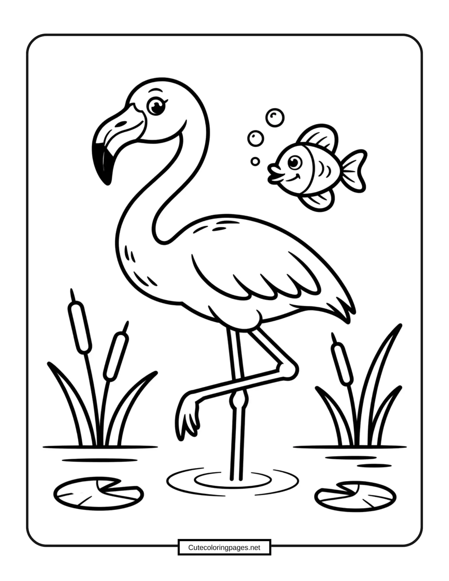 Flamingo and the Fish Coloring Page 